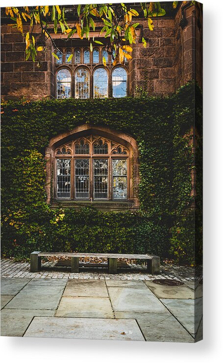 Bench Acrylic Print featuring the photograph Ivy League #1 by Kevin Plant