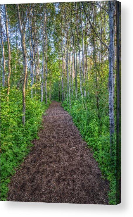 Path Acrylic Print featuring the photograph Lead the Way by Brad Bellisle