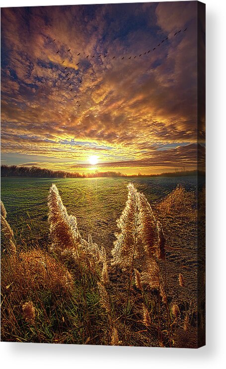 Unity Acrylic Print featuring the photograph Time Flies #1 by Phil Koch