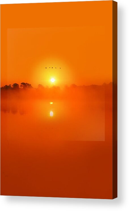 Sunrise Acrylic Print featuring the photograph Windows To Nature 2 by Jaroslav Buna