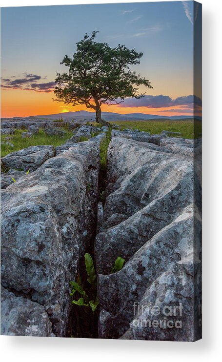 England Acrylic Print featuring the photograph Winskill Stones by Tom Holmes