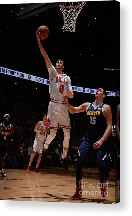 Chicago Bulls Acrylic Print featuring the photograph Zach Lavine by Bart Young