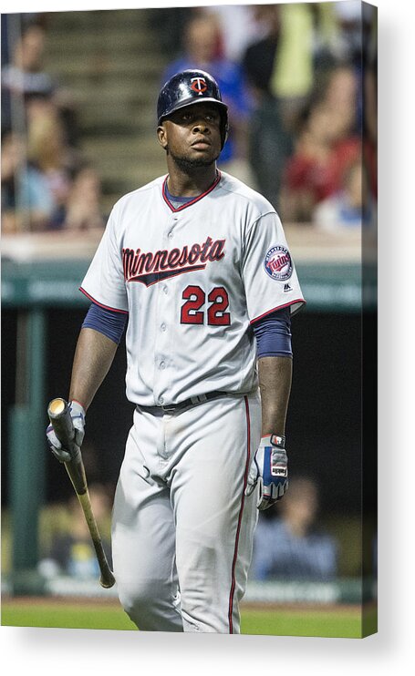 Cleveland Guardians Acrylic Print featuring the photograph Minnesota Twins v Cleveland Indians #10 by Jason Miller