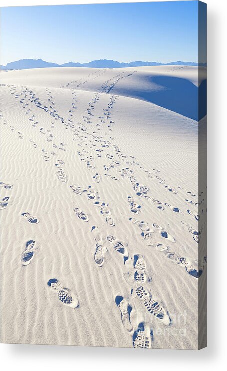 Chihuahuan Desert Acrylic Print featuring the photograph White Sands Gypsum Dunes #10 by Raul Rodriguez