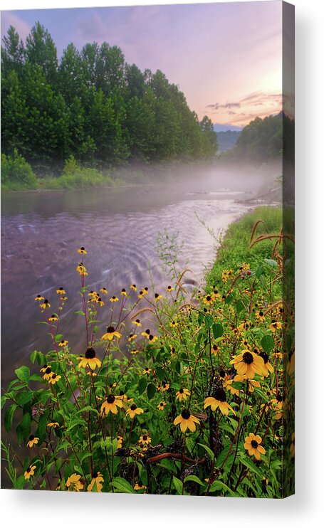 Wildflowers Acrylic Print featuring the photograph Little Piney Creek by Robert Charity
