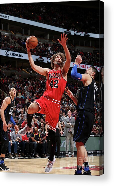 Robin Lopez Acrylic Print featuring the photograph Robin Lopez #2 by Gary Dineen