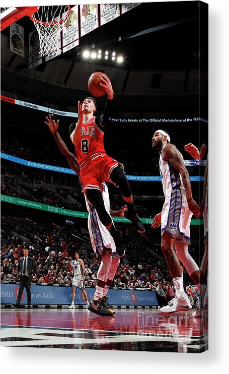 Chicago Bulls Acrylic Print featuring the photograph Zach Lavine by Jeff Haynes