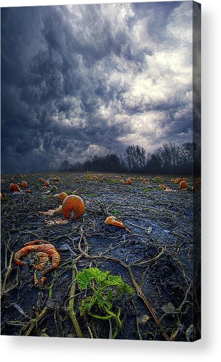 Empty Acrylic Print featuring the photograph 2020 by Phil Koch