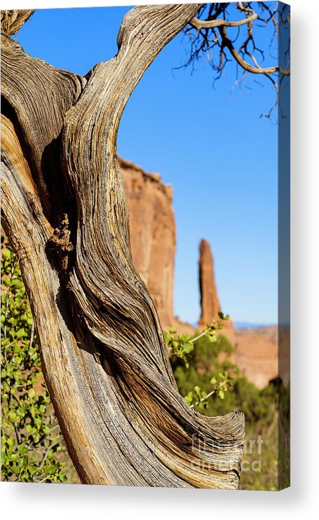 Arches National Park Acrylic Print featuring the photograph Arches National Park #32 by Raul Rodriguez