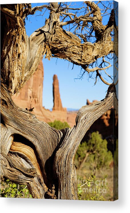 Arches National Park Acrylic Print featuring the photograph Arches National Park #34 by Raul Rodriguez
