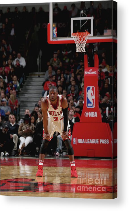 Nba Pro Basketball Acrylic Print featuring the photograph Dwyane Wade by Gary Dineen