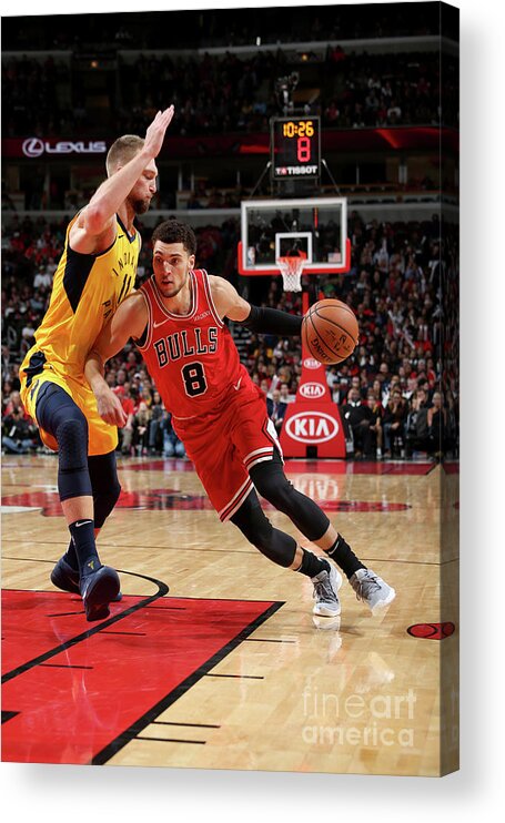 Zach Lavine Acrylic Print featuring the photograph Zach Lavine by Gary Dineen