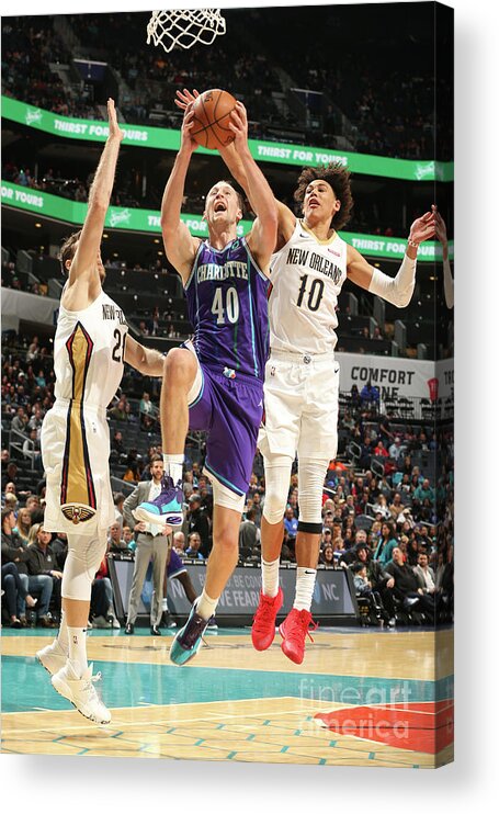 Nba Pro Basketball Acrylic Print featuring the photograph Cody Zeller by Kent Smith