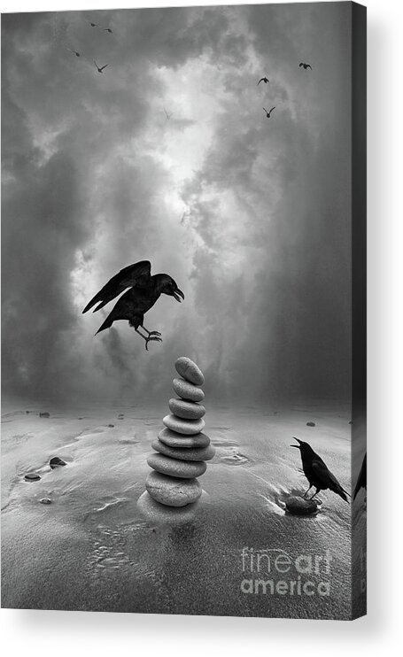 Crow Acrylic Print featuring the photograph A Day at the Beach by Jim Hatch