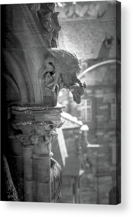 Architecture Acrylic Print featuring the photograph A Grotesque in Strasbourg - 1 by W Chris Fooshee