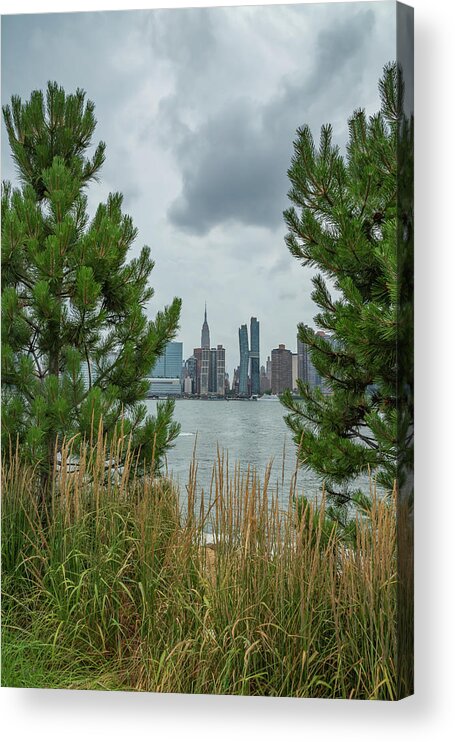 Hunter’s Point South Acrylic Print featuring the photograph A Peek through the Pines by Cate Franklyn