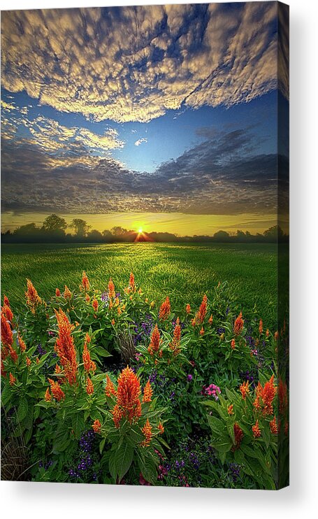 Beautiful Acrylic Print featuring the photograph A Time To Keep by Phil Koch