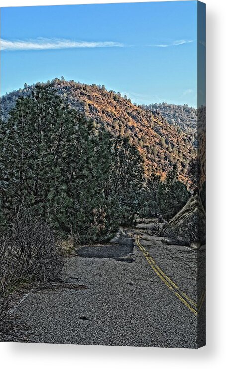 Natural Landscape Acrylic Print featuring the photograph Abandoned Road by Maggy Marsh