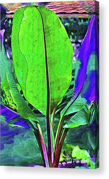 Banana-plant Acrylic Print featuring the digital art Abstract Banana Plant by Kirt Tisdale