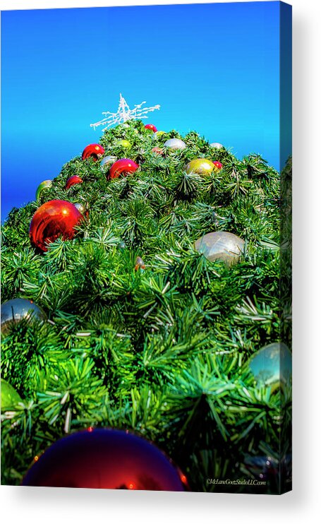 Landscapes Acrylic Print featuring the photograph Algonac Christmas Tree by LeeAnn McLaneGoetz McLaneGoetzStudioLLCcom