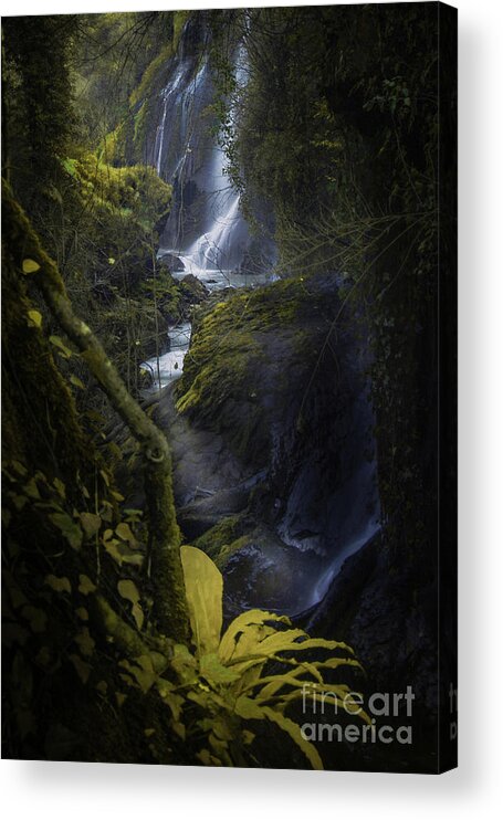 Italy Acrylic Print featuring the photograph Alluring Path by Marco Crupi