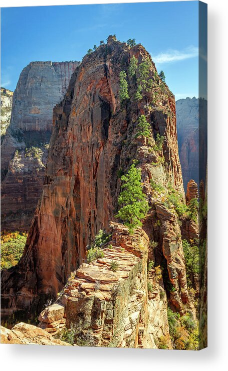 Zion Acrylic Print featuring the photograph Angels landing in Zion by Pierre Leclerc Photography