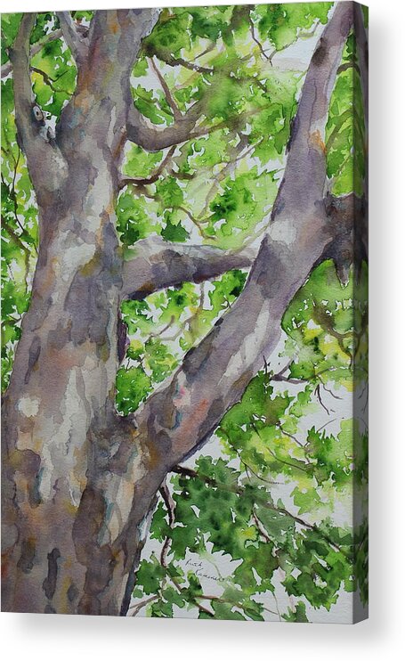 Tree Acrylic Print featuring the painting Arbutus I by Ruth Kamenev