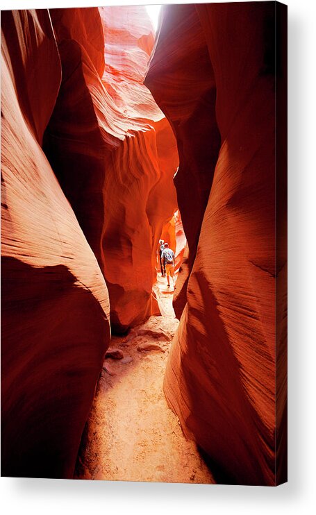 Canyon Acrylic Print featuring the photograph Arizona Slot Canyon by Rick Wilking