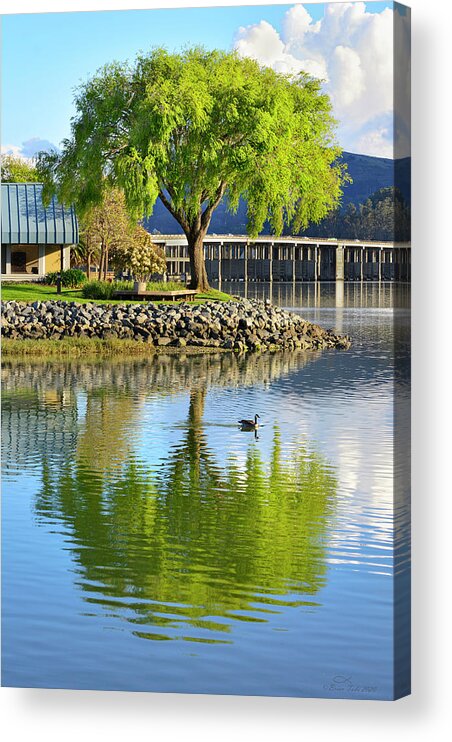 Peaceful Acrylic Print featuring the photograph At the Lagoon by Richardson Bay by Brian Tada