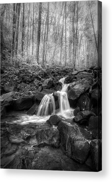 Mountains Acrylic Print featuring the photograph Autumn Cascades of Amicalola Falls Black and White by Debra and Dave Vanderlaan