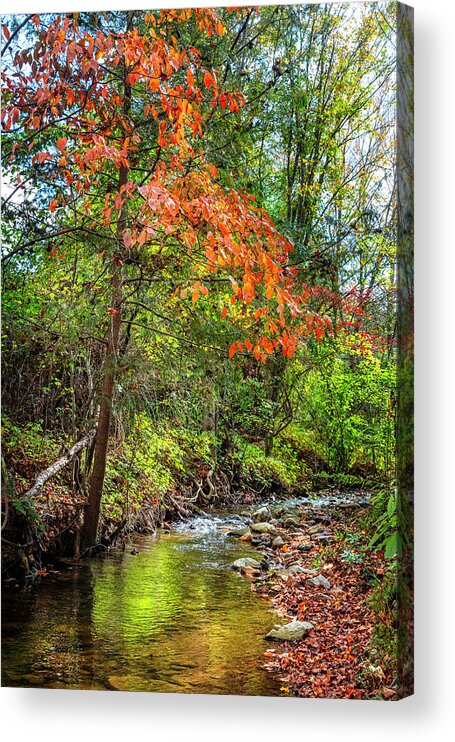 Blairsville Acrylic Print featuring the photograph Autumn Color over the Stream by Debra and Dave Vanderlaan