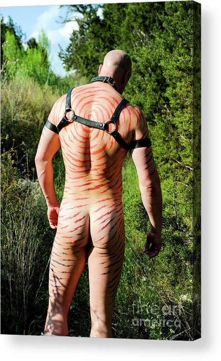 Body Acrylic Print featuring the photograph Backside of a naked bald muscular man wearing a leather harness. by Gunther Allen