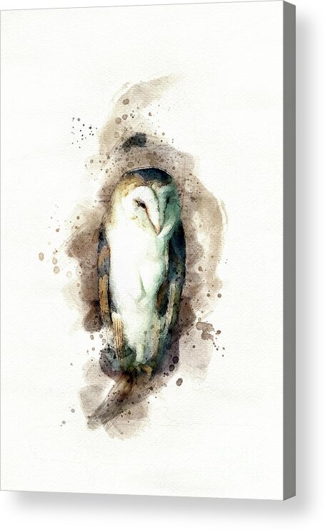 Barn Owl Acrylic Print featuring the photograph Barn owl perched on a branch in an old barn. Digital watercolour painting on white. by Jane Rix