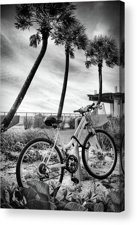 Black Acrylic Print featuring the photograph Beach Bike in the Morning Glories Black and White by Debra and Dave Vanderlaan