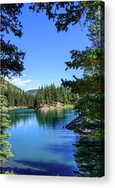 Colorado Acrylic Print featuring the photograph Bear Lake Through the Pines - Colorado by Debra Martz