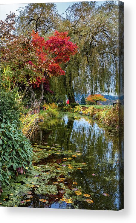 Alex Lyubar Acrylic Print featuring the photograph Beautiful autumn in the park by Alex Lyubar