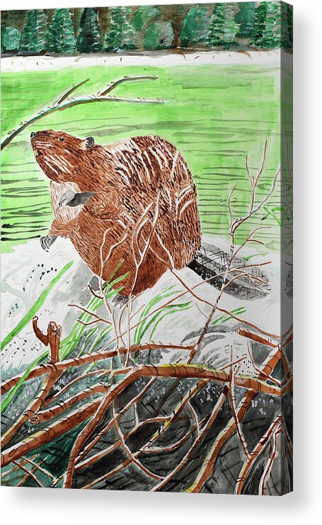 Beaver Buddy Acrylic Print featuring the painting Beaver Buddy by Wynn Derr