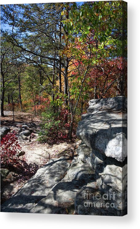 View Acrylic Print featuring the photograph Bee Rock Overlook 18 by Phil Perkins