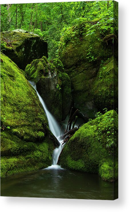 Great Smoky Mountains National Park Acrylic Print featuring the photograph Below 1000 Drips 1 by Melissa Southern