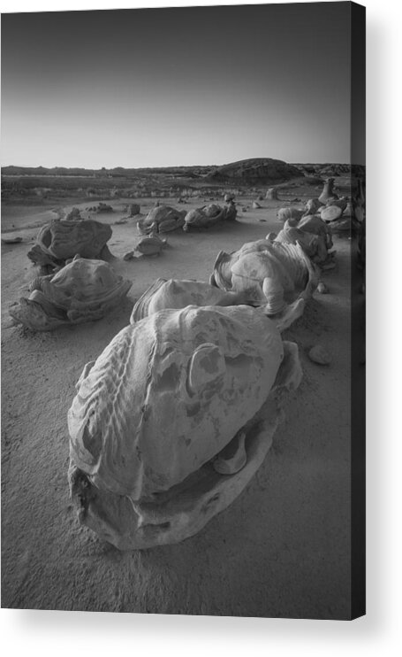 Tranquility Acrylic Print featuring the photograph Bisti Badlands, New Mexico, USA by David Clapp