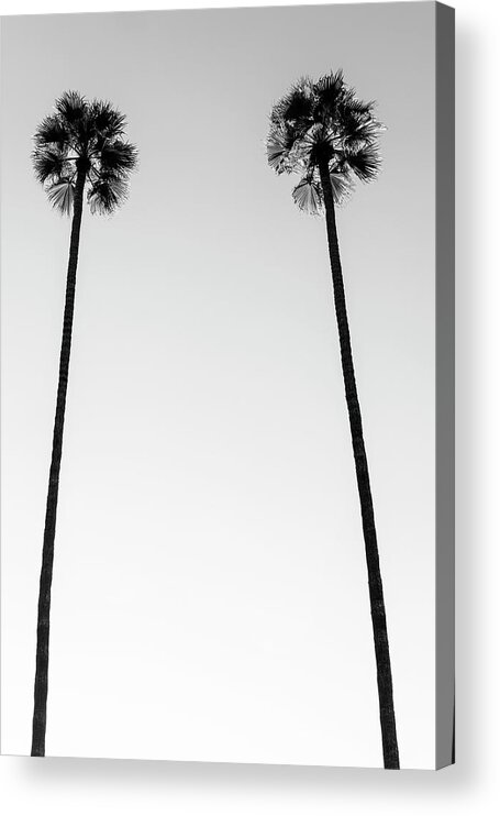 Palm Trees Acrylic Print featuring the photograph Black California Series - Two Palm Trees by Philippe HUGONNARD