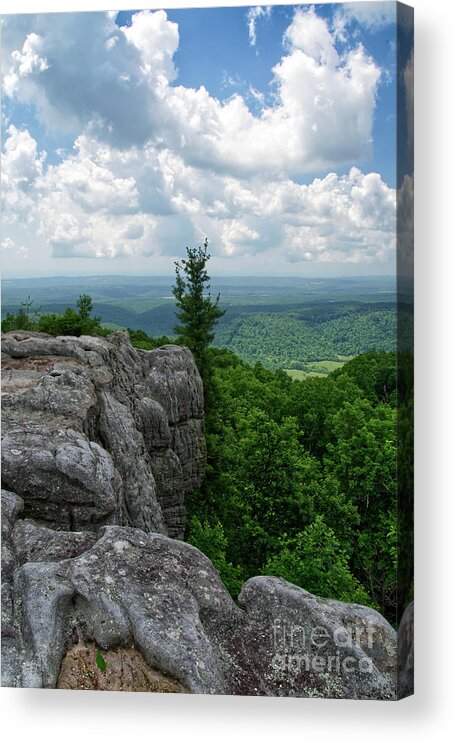 Smokies Acrylic Print featuring the photograph Black Mountain 19 by Phil Perkins