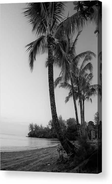 Kauai Acrylic Print featuring the photograph Black Pot Beach by Tony Spencer
