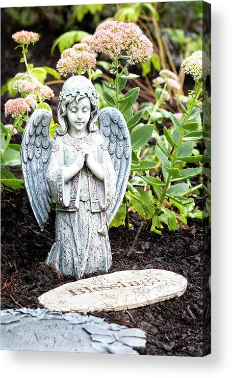 Blessings Acrylic Print featuring the photograph Blessings by Patty Colabuono