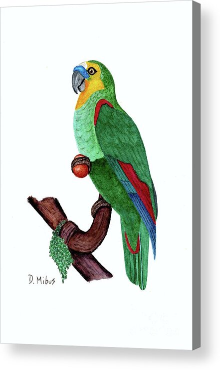 Blue Fronted Amazon Parrot Acrylic Print featuring the painting Blue Fronted Parrot Day 5 Challenge by Donna Mibus
