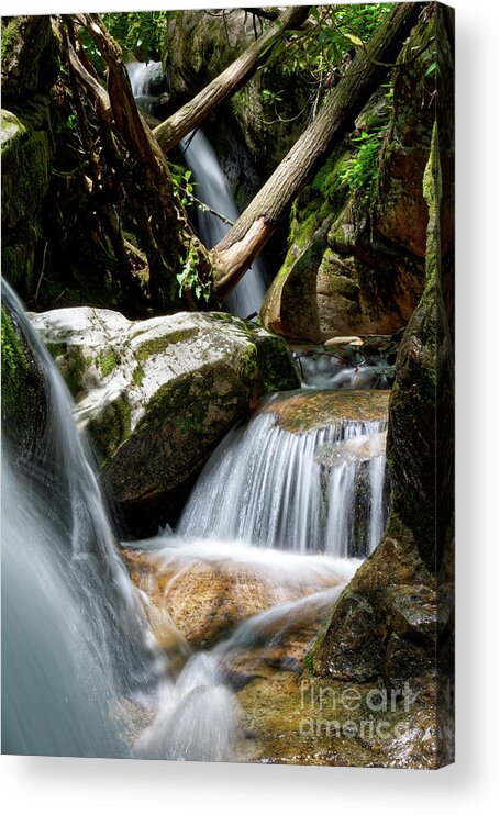 Nature Acrylic Print featuring the photograph Blue Hole Falls 11 by Phil Perkins