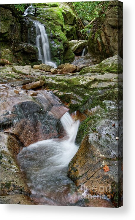 Nature Acrylic Print featuring the photograph Blue Hole Falls 15 by Phil Perkins