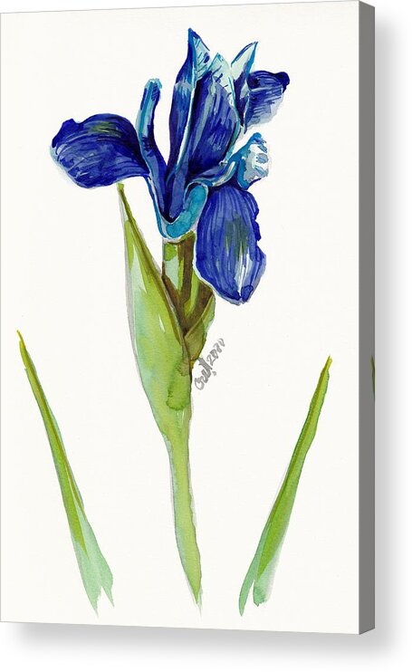 Iris Acrylic Print featuring the painting Blue Me by George Cret