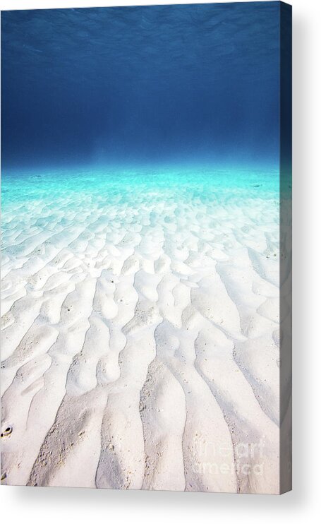 Bonaire Acrylic Print featuring the photograph Bonaire underwater white sand WA9397 by Mark Graf