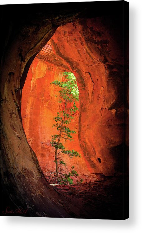 Red Rocks Acrylic Print featuring the photograph Boynton Canyon 04-343 by Scott McAllister